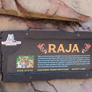 Signage Example - Raja the Sumatran Tiger