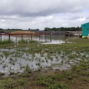 3 Palms Zoo: end of large water birds area