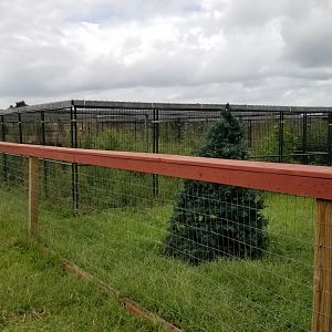 3 Palms Zoo: non-farm mammals area