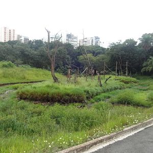 Goiânia zoo - abandoned island enclosures