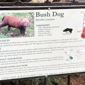 Example of animal signage (bush dog)