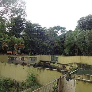 Goiânia zoo - otter exhibit