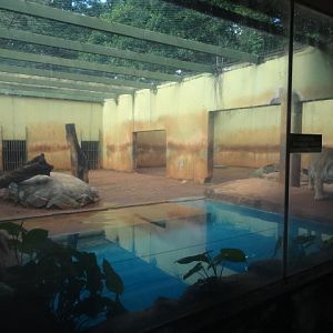 Goiânia zoo - bengal-tiger exhibit