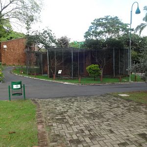 Goiânia zoo - bird exhibits at the entrance