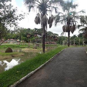 Goiânia zoo - lakeside pathway