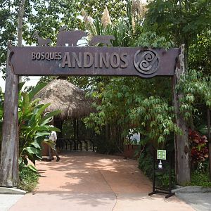 Andean forests area entrance