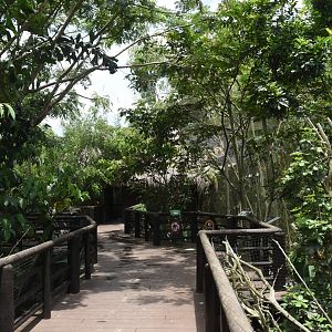 Second walk through aviary