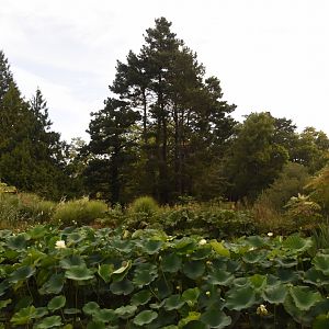 First view after entrance