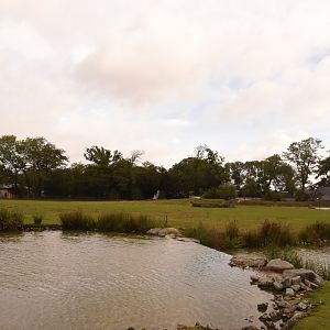 Bactrian Camel enclosure
