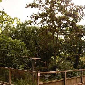 Red Panda enclosure