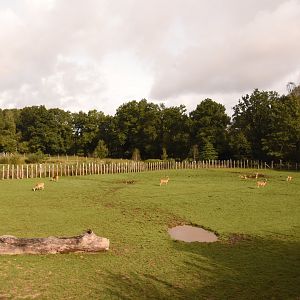 Indian valley, second enclosure