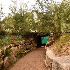 Path to underwater viewing