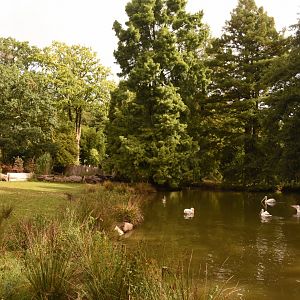 second Pygmy HIppo enclosure