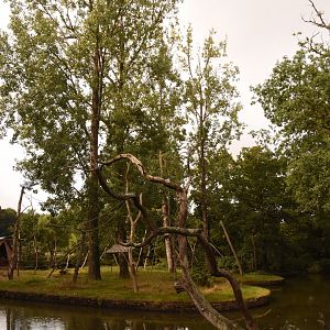 Squirrel Monkey & Spider Monkey islands
