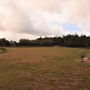 African savannah main view