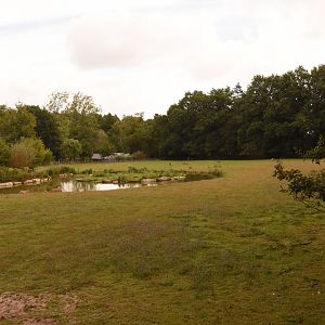 S-American mixed exhibit