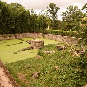 Small-clawed Otter enclosure