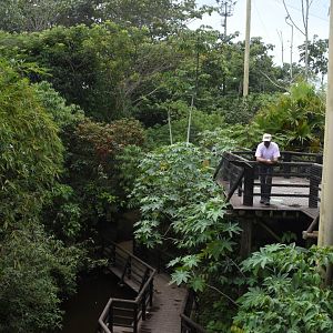 First walkthrough aviary