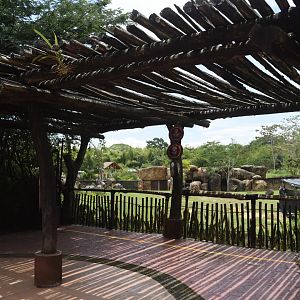 African Savannah viewing deck