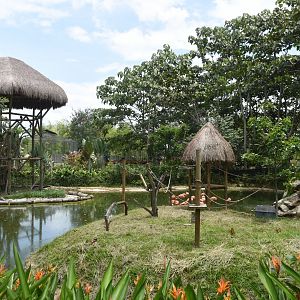 Squirrel monkey island, Flamingo lake and Macaws