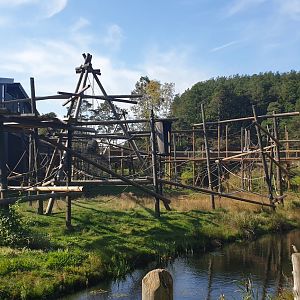 Bornean Orangutan New Facility