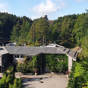 Siberian Tiger house