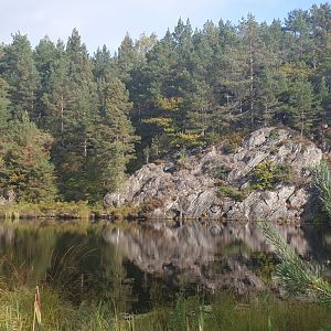 Krisitiansand Dyrepark