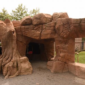 Black Panther viewing