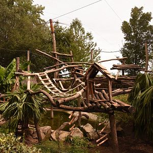 Binturong and Small-clawed Otter enclosure