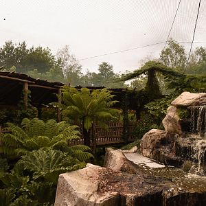 part of S-American walkthrough aviary