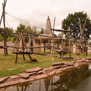 Sumatran Orangutan enclosure