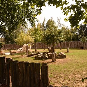 Malayan Tapir enclosure