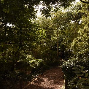 Squirrel Monkey walkthrough