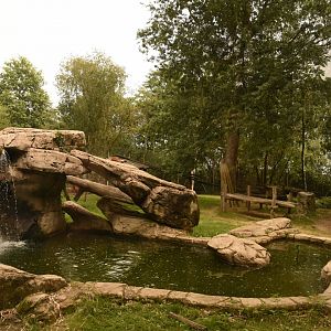 Sumatran Tiger enclosure