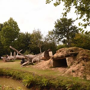 Gorilla & Colobus enclosure