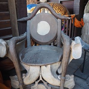 Chair with elephant bones, 2020-09-02
