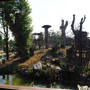 Second Sumatran orangutan island, 2020-09-02