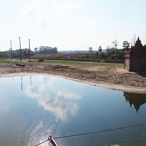 Asian elephant territory, 2020-09-02