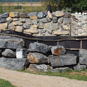 Off-show exhibit next to Asian elephant territory, 2020-09-02