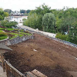 Domestic water buffalo and Negros Visayan warty pig paddock, 2020-09-02