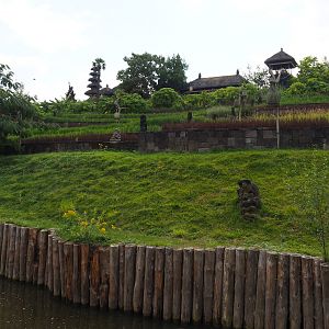 The Kingdom of Ganesha rice terraces, 2020-09-02