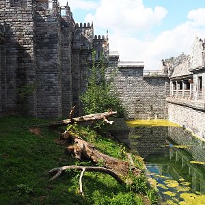 White tiger exhibit in temple, 2020-09-02