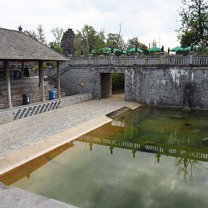 Asian elephant bathing area, 2020-09-02