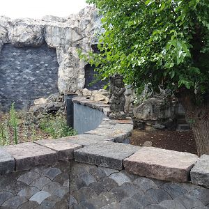 Former Tasmanian wombat exhibit, currently empty, 2020-09-02