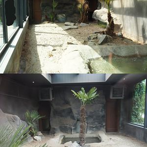 Komodo dragon exhibits, 2020-09-02