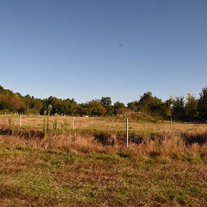 part of Malayan Tiger enclosure