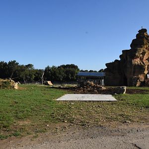 Bison and American Black Bear enclosure