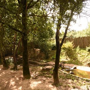 Scarlet Ibis enclosure