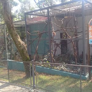 Upgraded tufted-ear marmoset enclosure