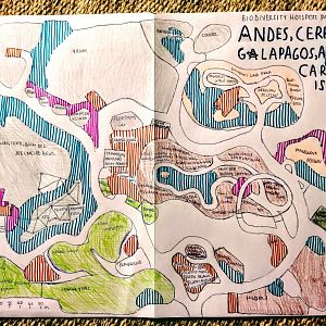 Biodiversity Hotspots Part 2: Andes, Cerrado, Amazon, Caribbean Islands and Galápagos
